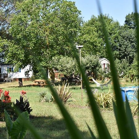 Mobil-Home Sur Terrain Bucolique Hyeres Bagian luar foto