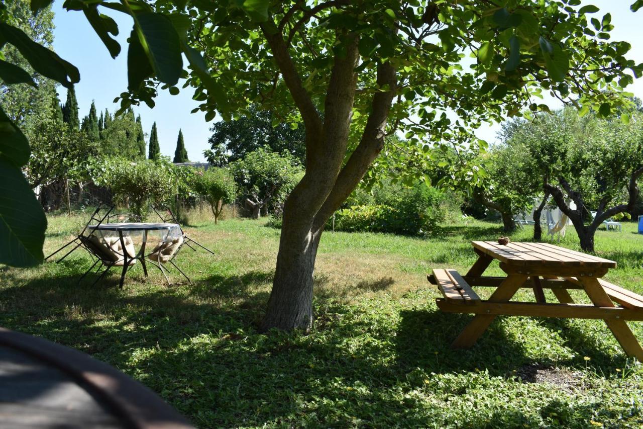 Mobil-Home Sur Terrain Bucolique Hyeres Bagian luar foto